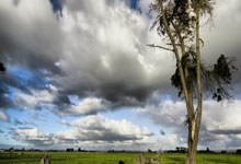 0后妈妈告诉你：这是英语启蒙的正常输入期 